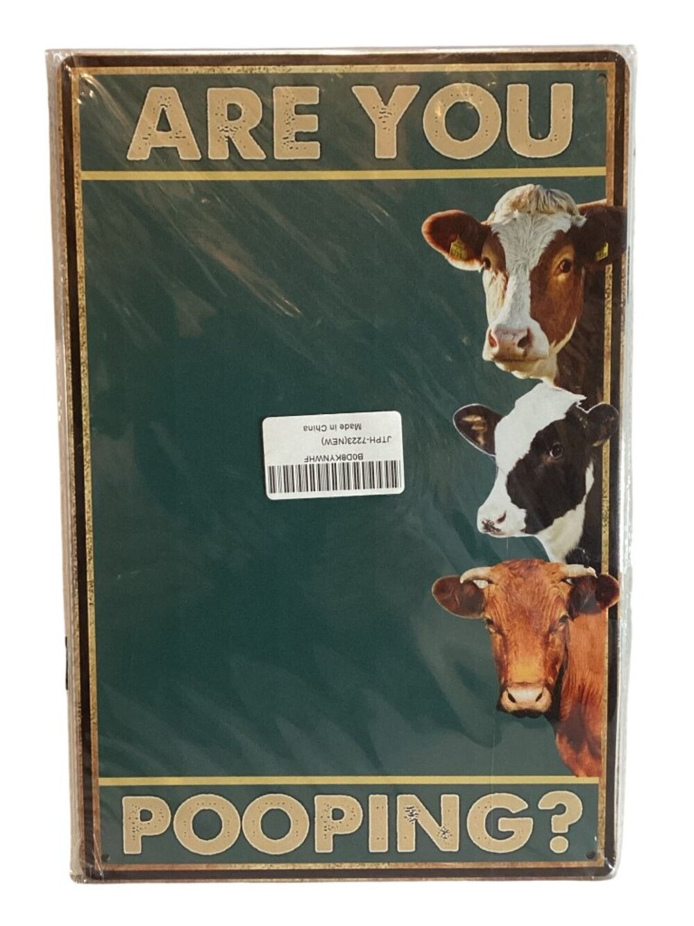 Are You Pooping 12X8 Golden Era Retro Distressed Tin Sign Multi Color NEW